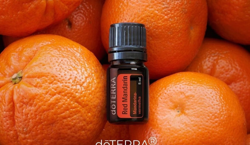 Red Mandarin  Citrus nobilis (Mandarina-vermelha)